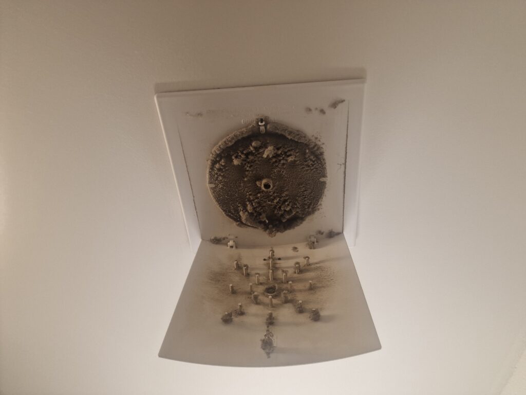 Amato Quality Clean GmbH